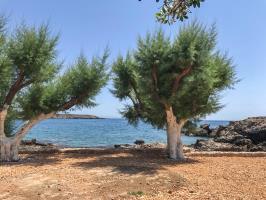 Seaside area of the studios